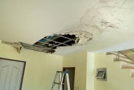 Mold & Humidity Home Inspection in Bradenton, FL